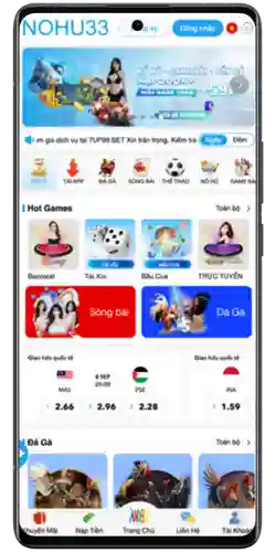 NOHU33 app